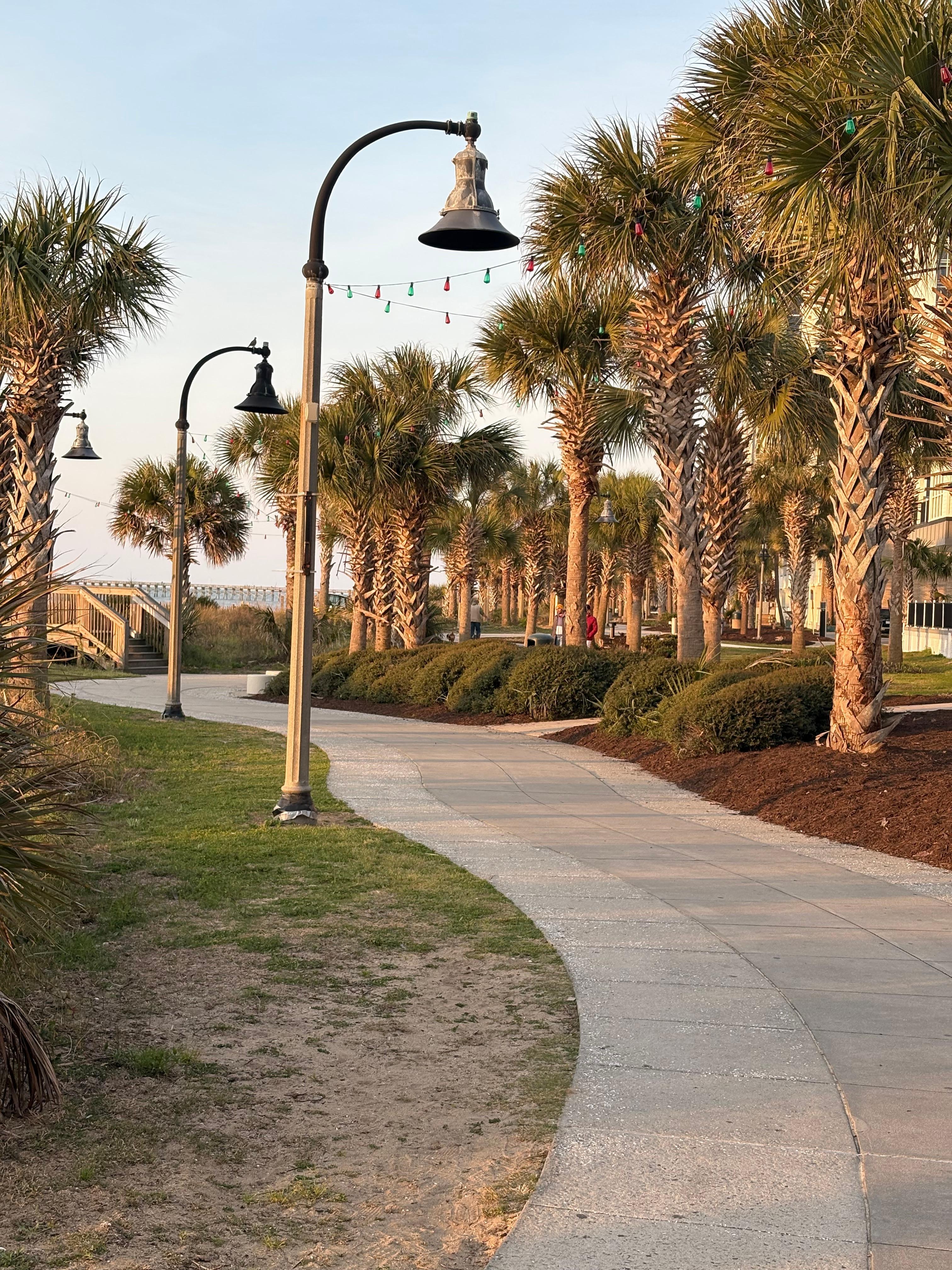 Beautiful walking path Oceanside 