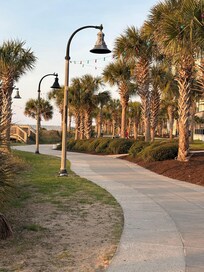 Beautiful walking path Oceanside