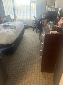Filthy carpet dingy decor. Plastic cups and paper cups.