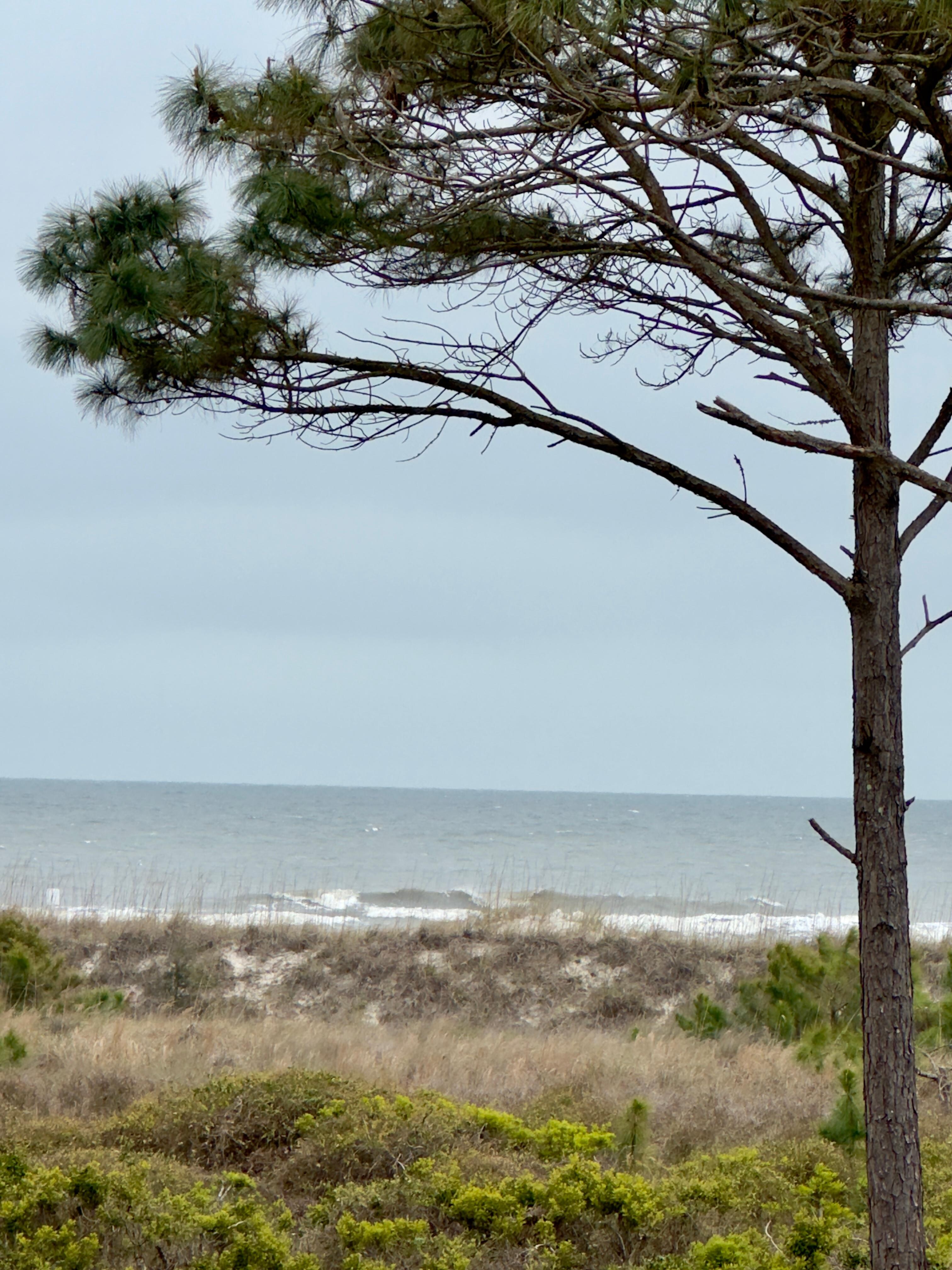 View from upstairs porch
