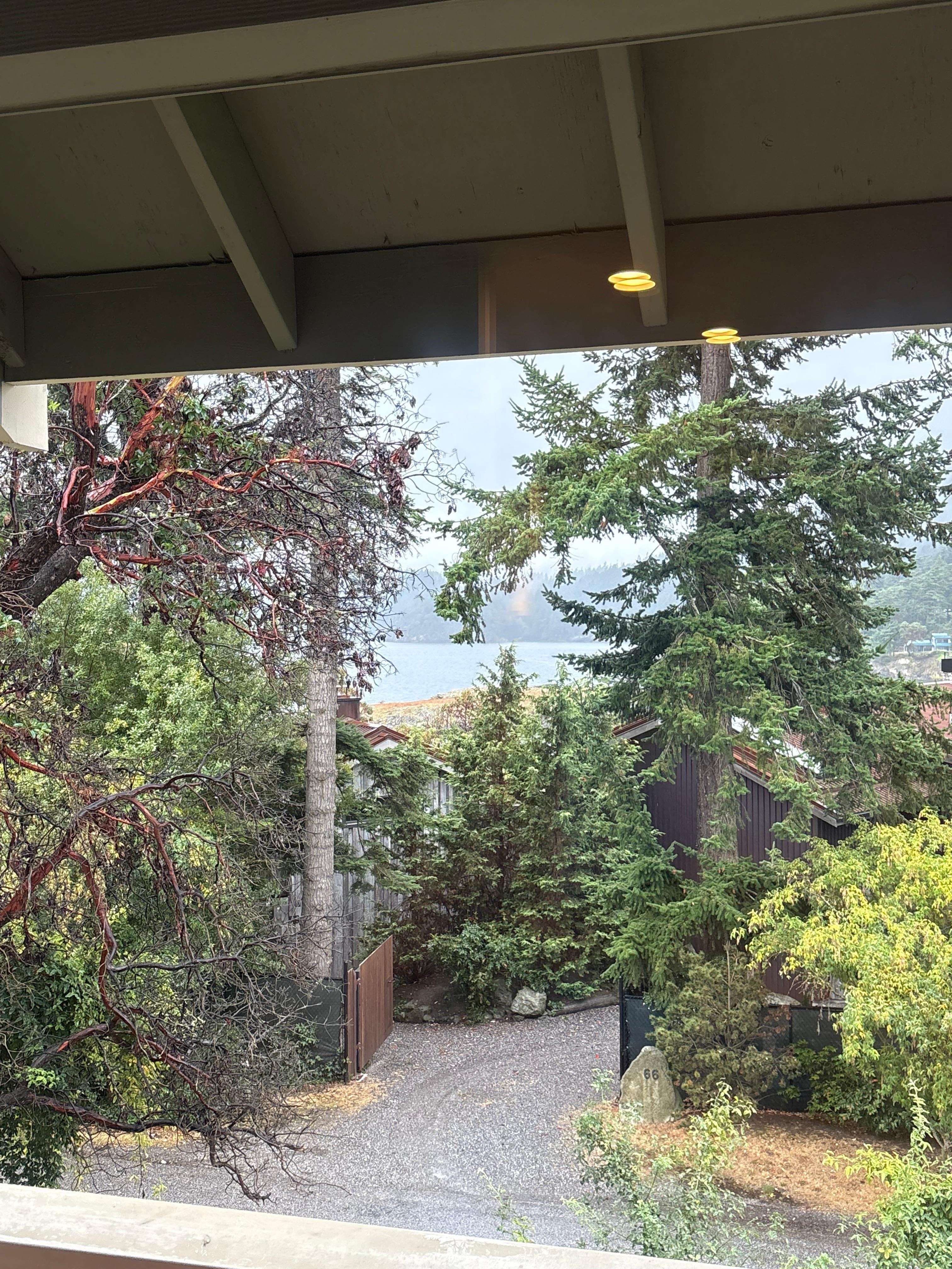 View from the deck door