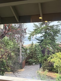 View from the deck door