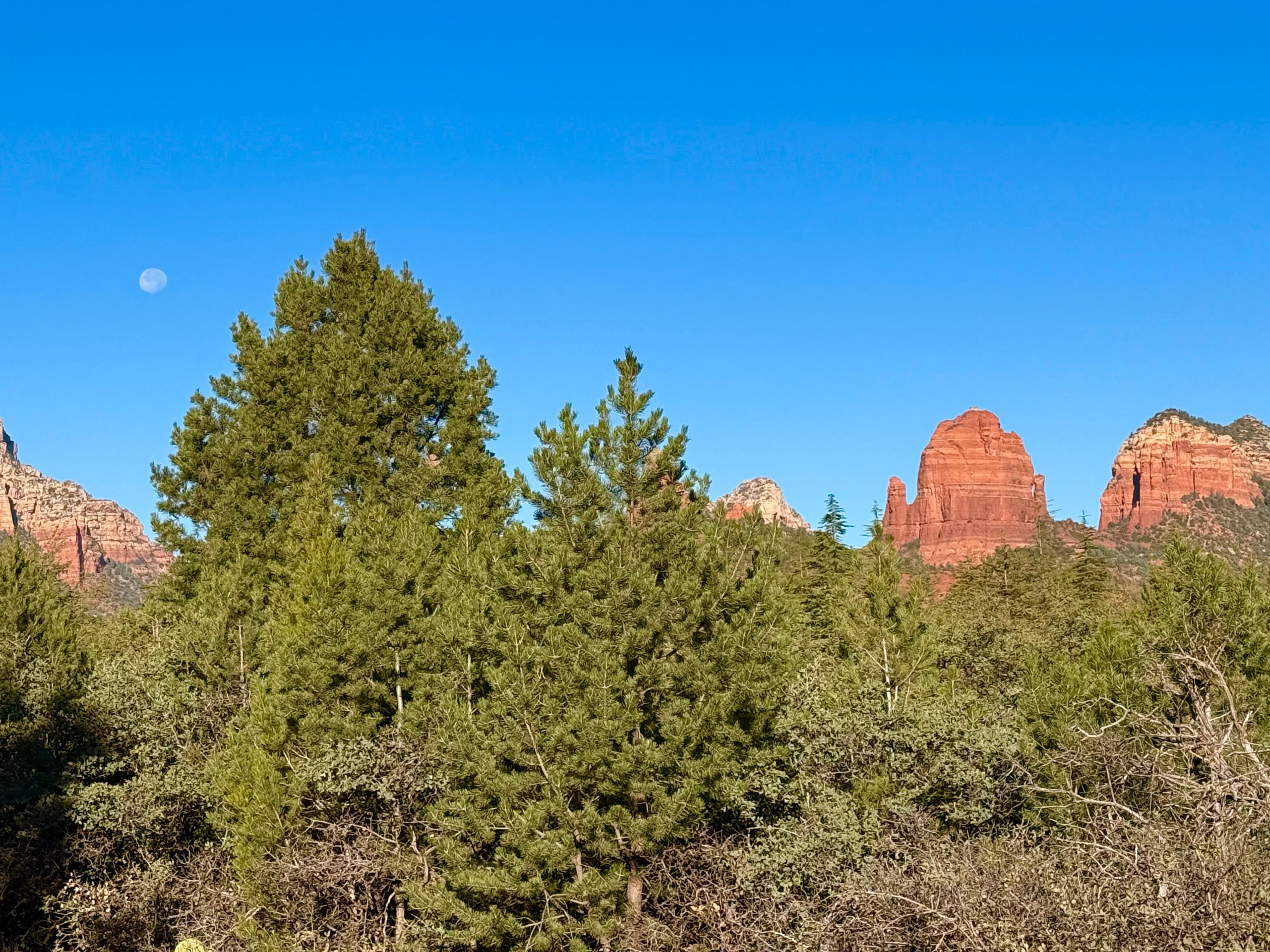 View from the courtyard.