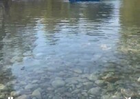 Beautiful spot