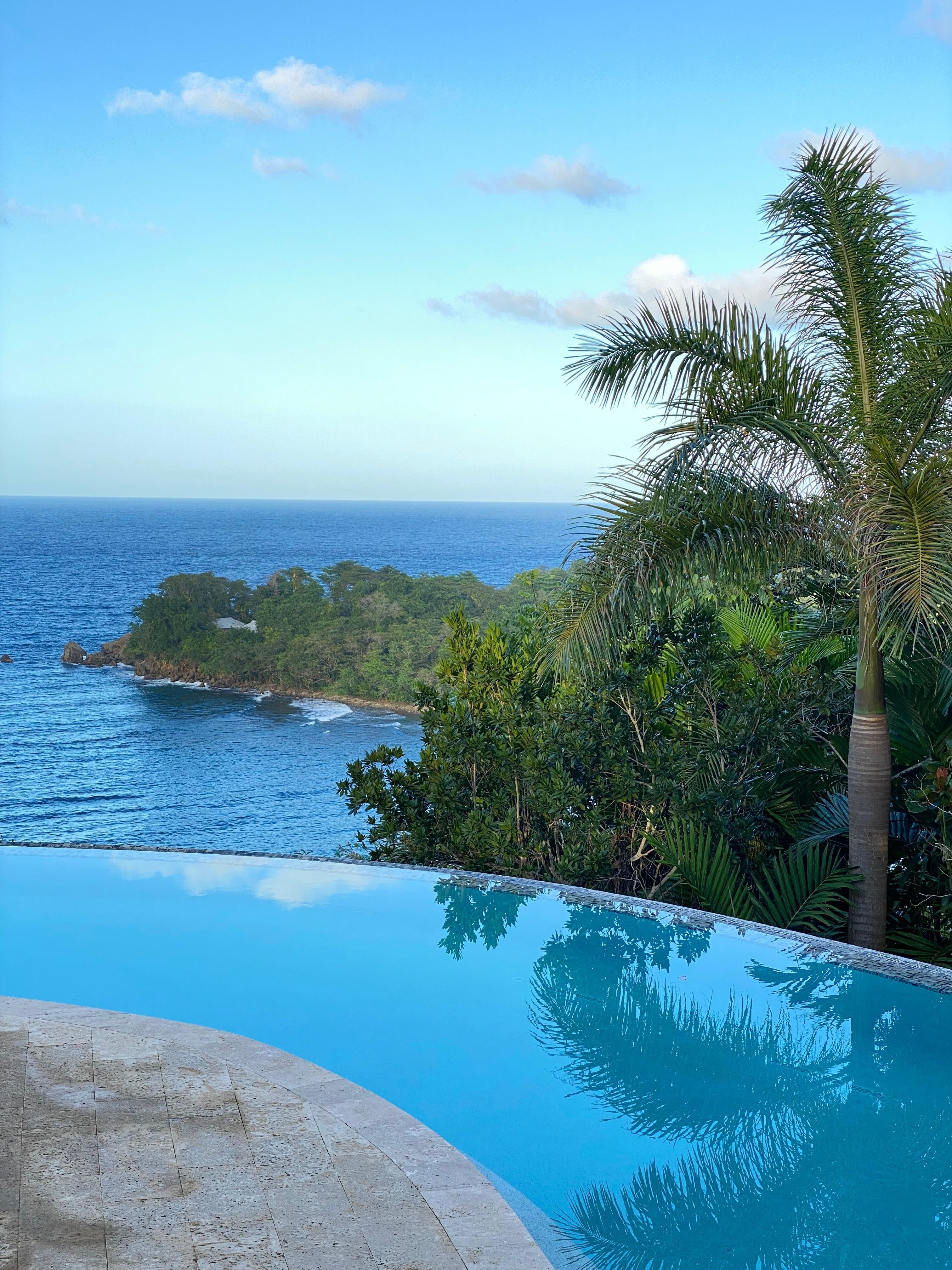 pool with a view