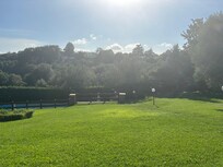 View of garden