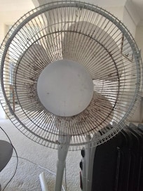 Fan
