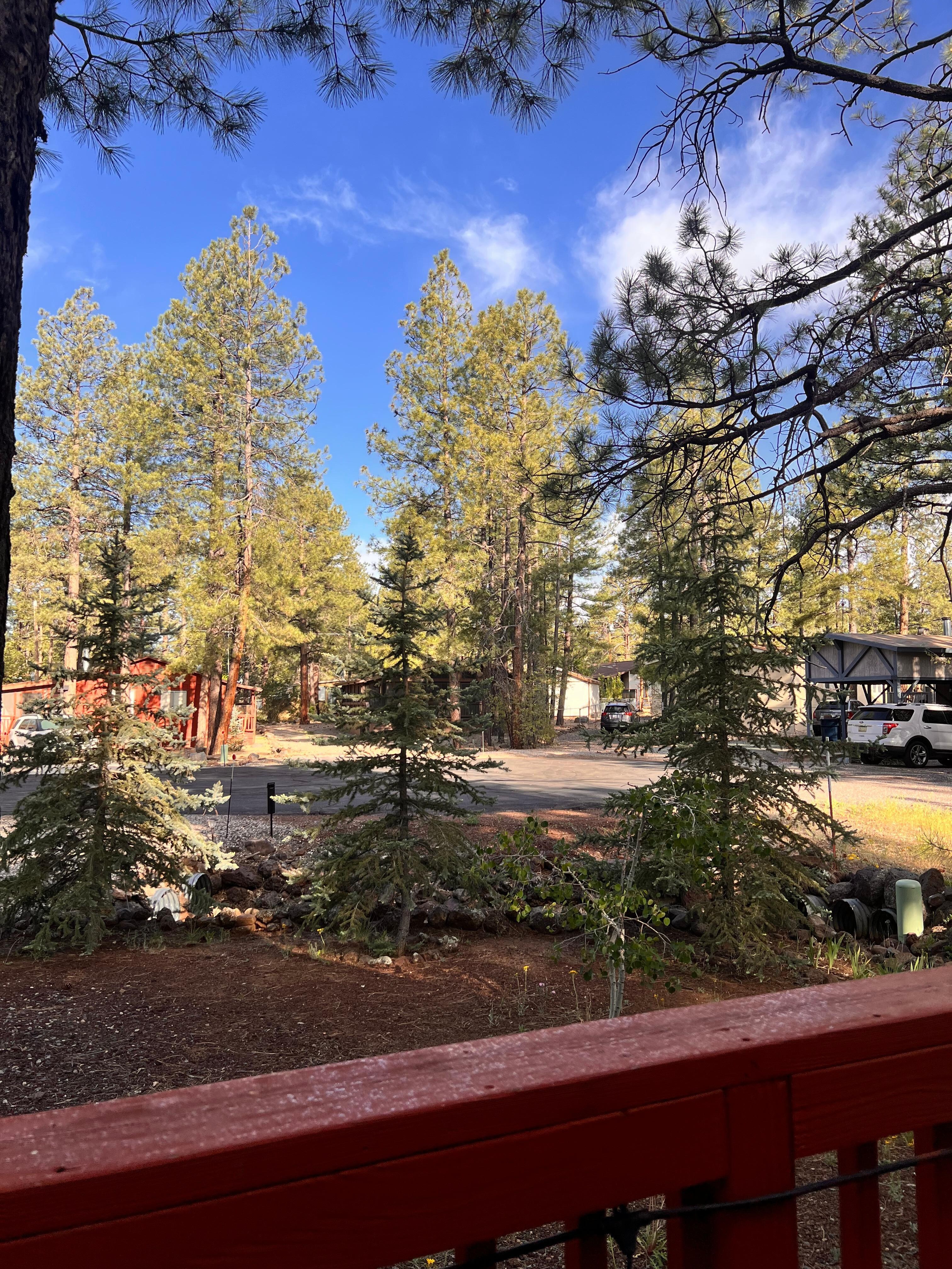 We spent most of our time on the front deck playing games and listening to music in the perfect weather. 