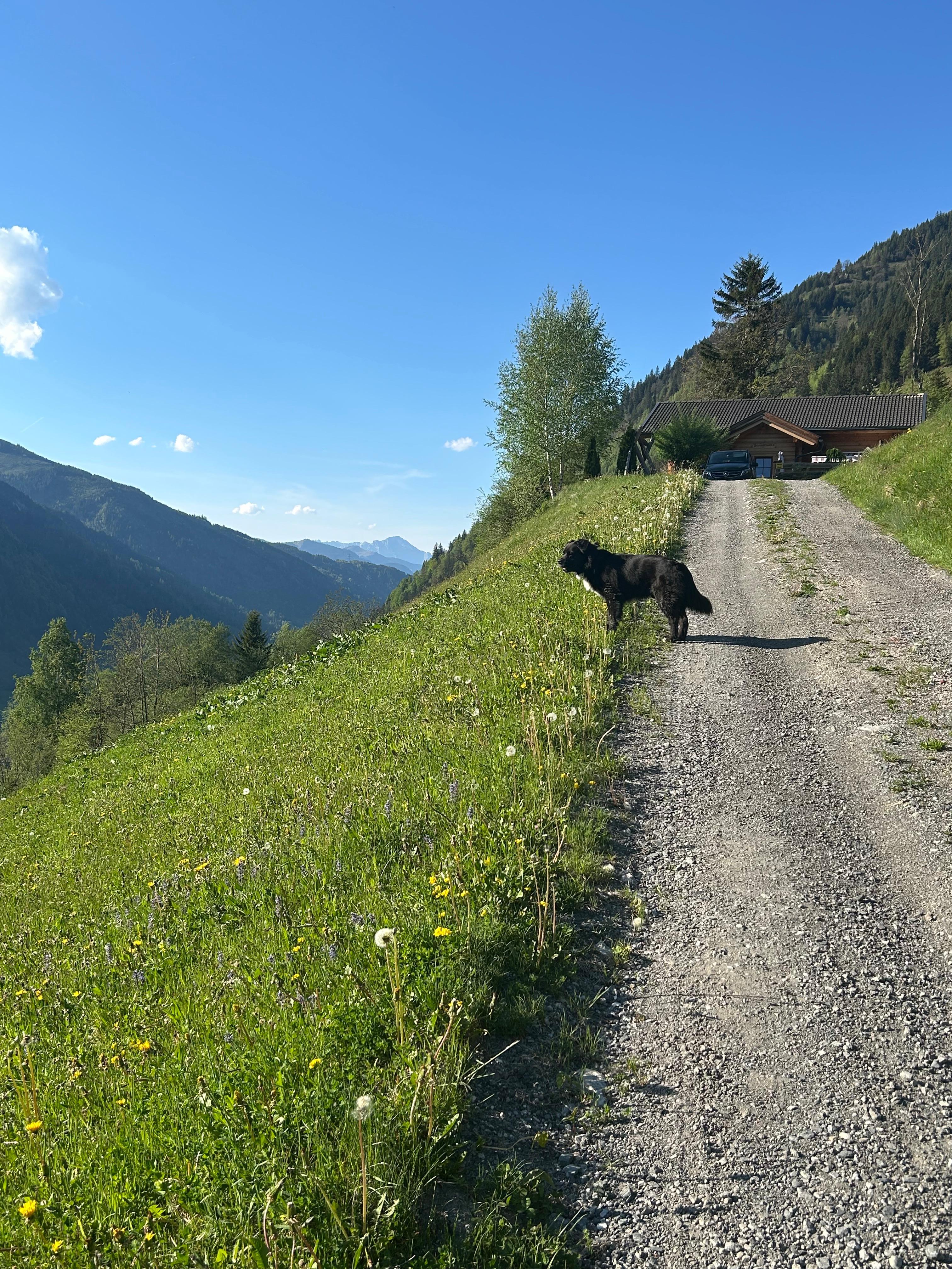 Weg zum Haus 
