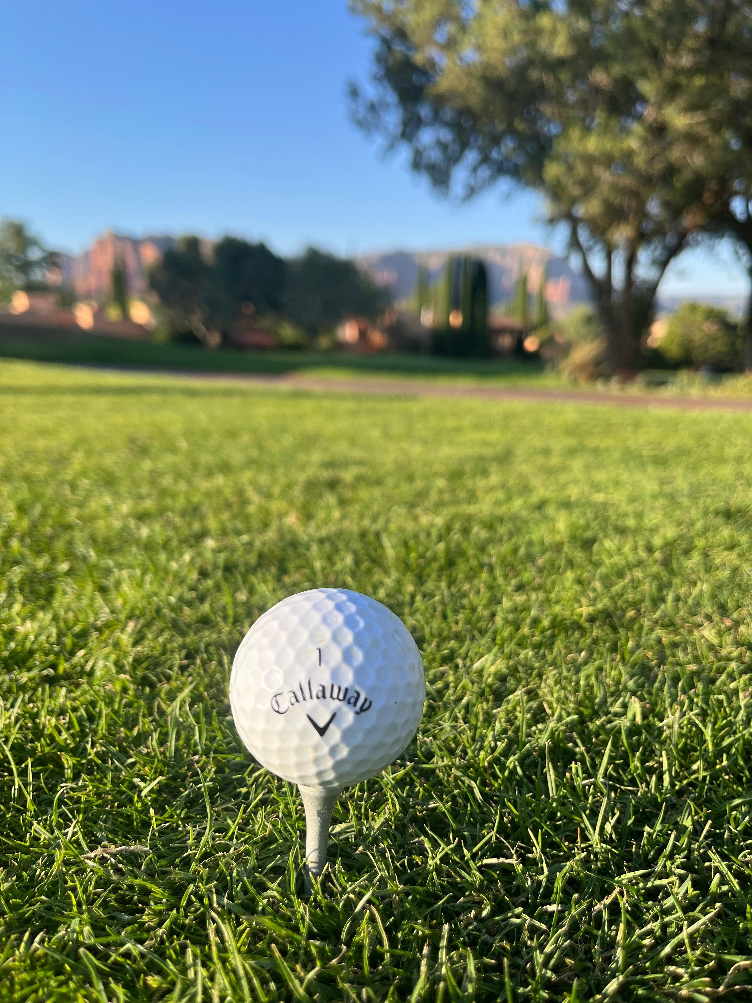 Beautiful golf course next to hotel