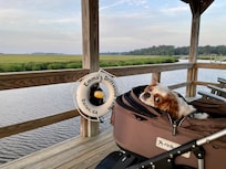 Our fur baby named "Emma"--seriously!
