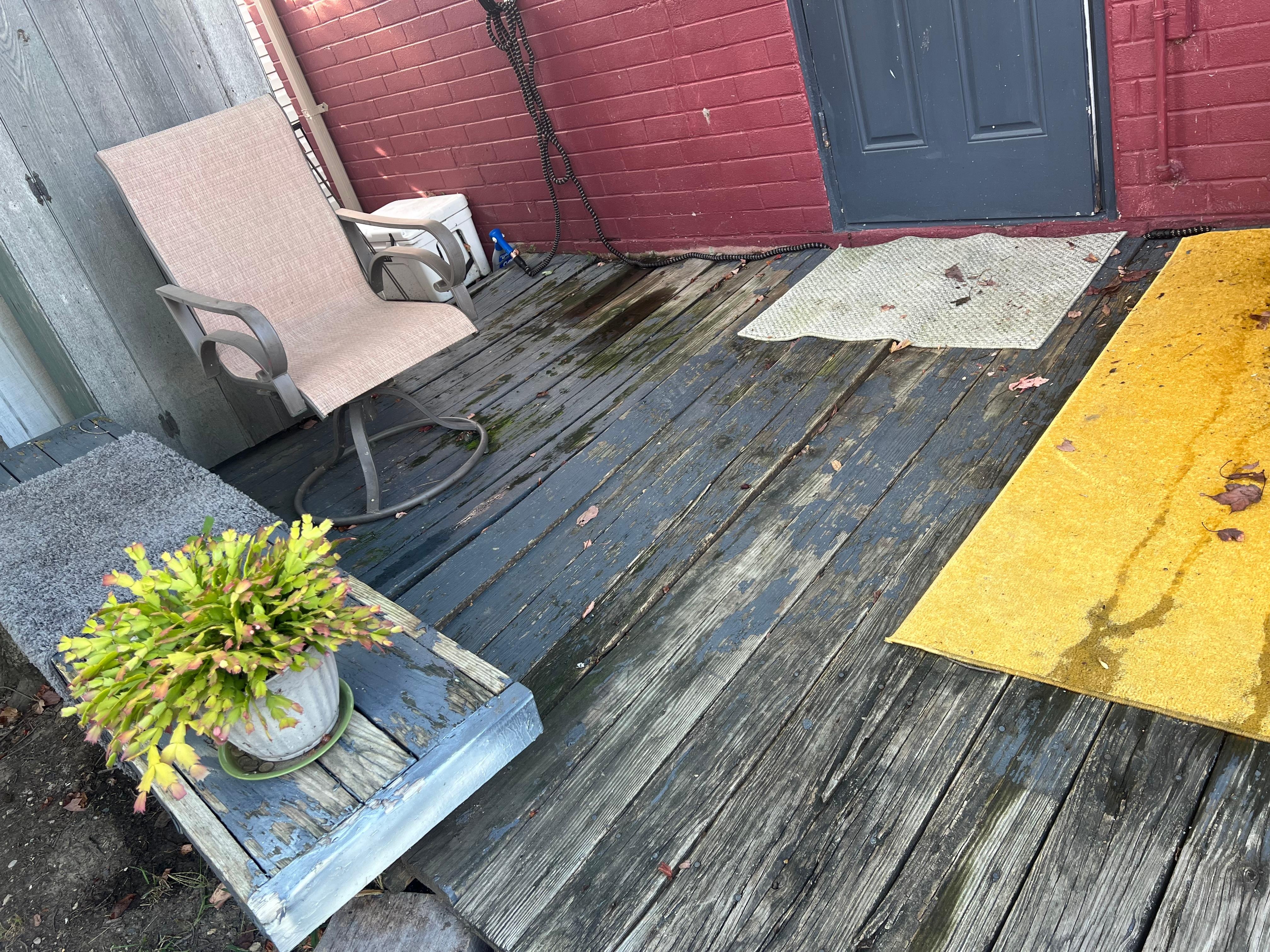 I wanted to sit out back and read… But the deck is completely unsafe.  The wood is rotting.