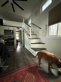 Our pup having dinner inside the home.