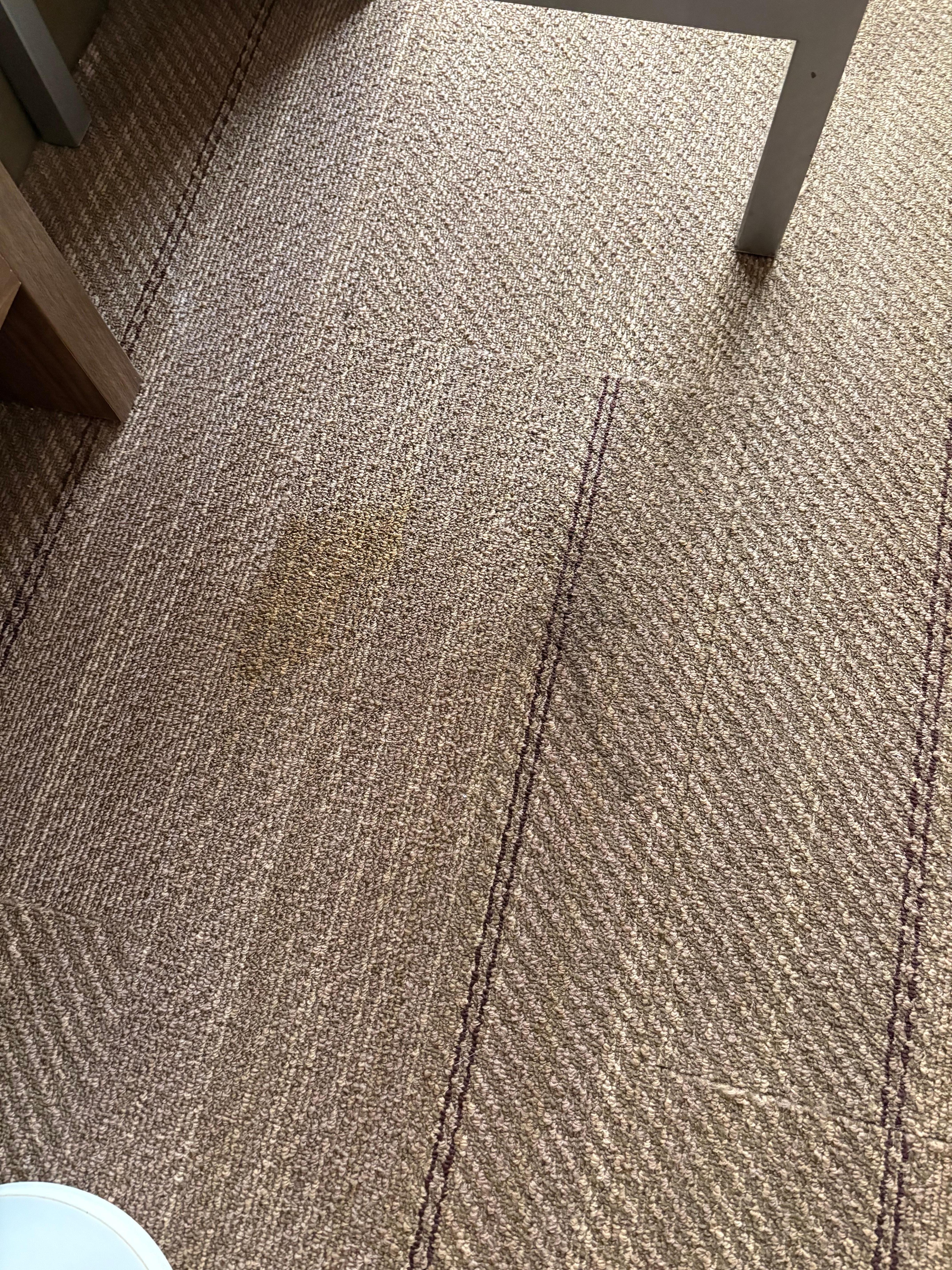 Dirty, stained carpet room 122