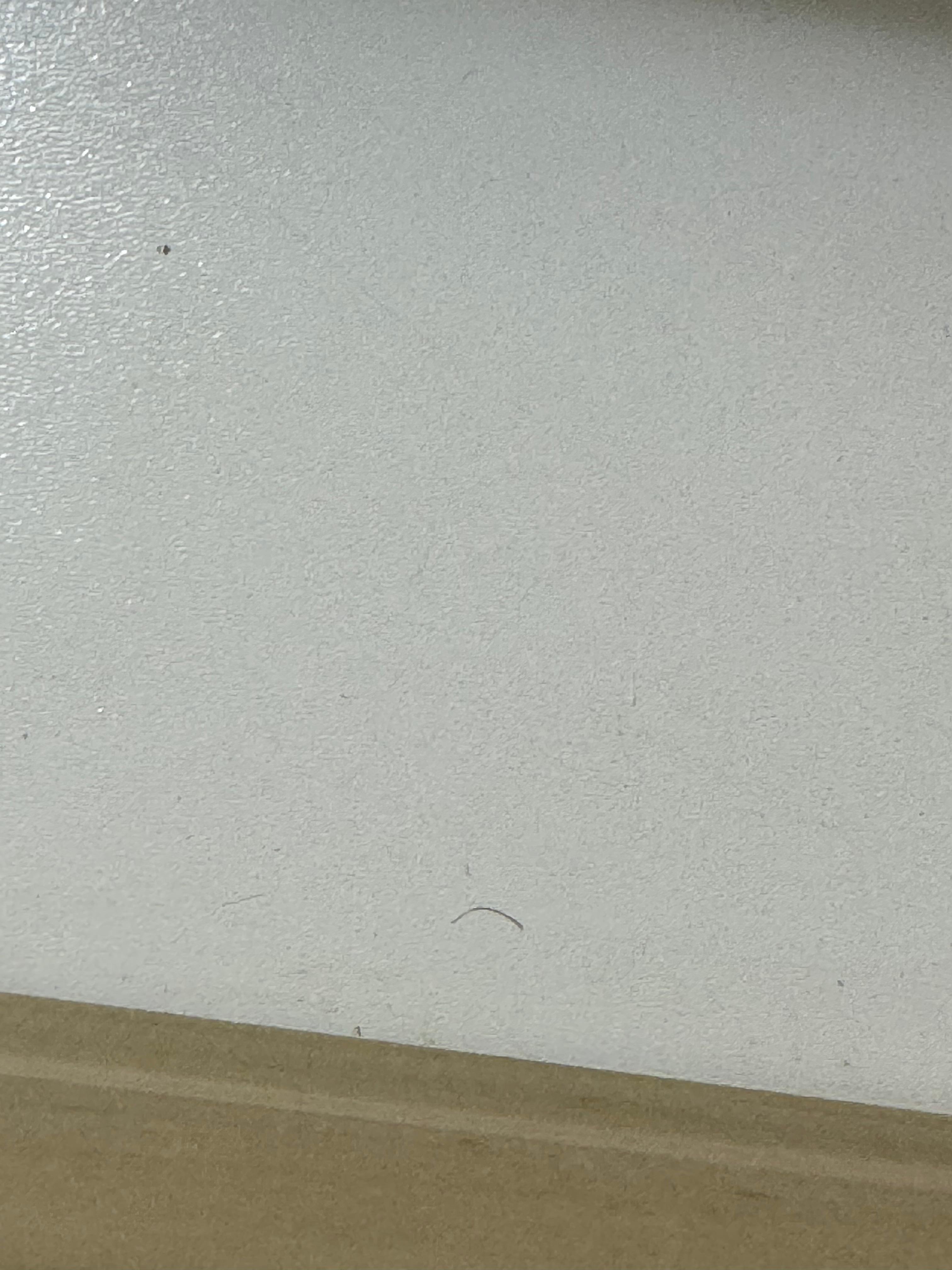 Not my hair