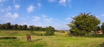 View across the fields.