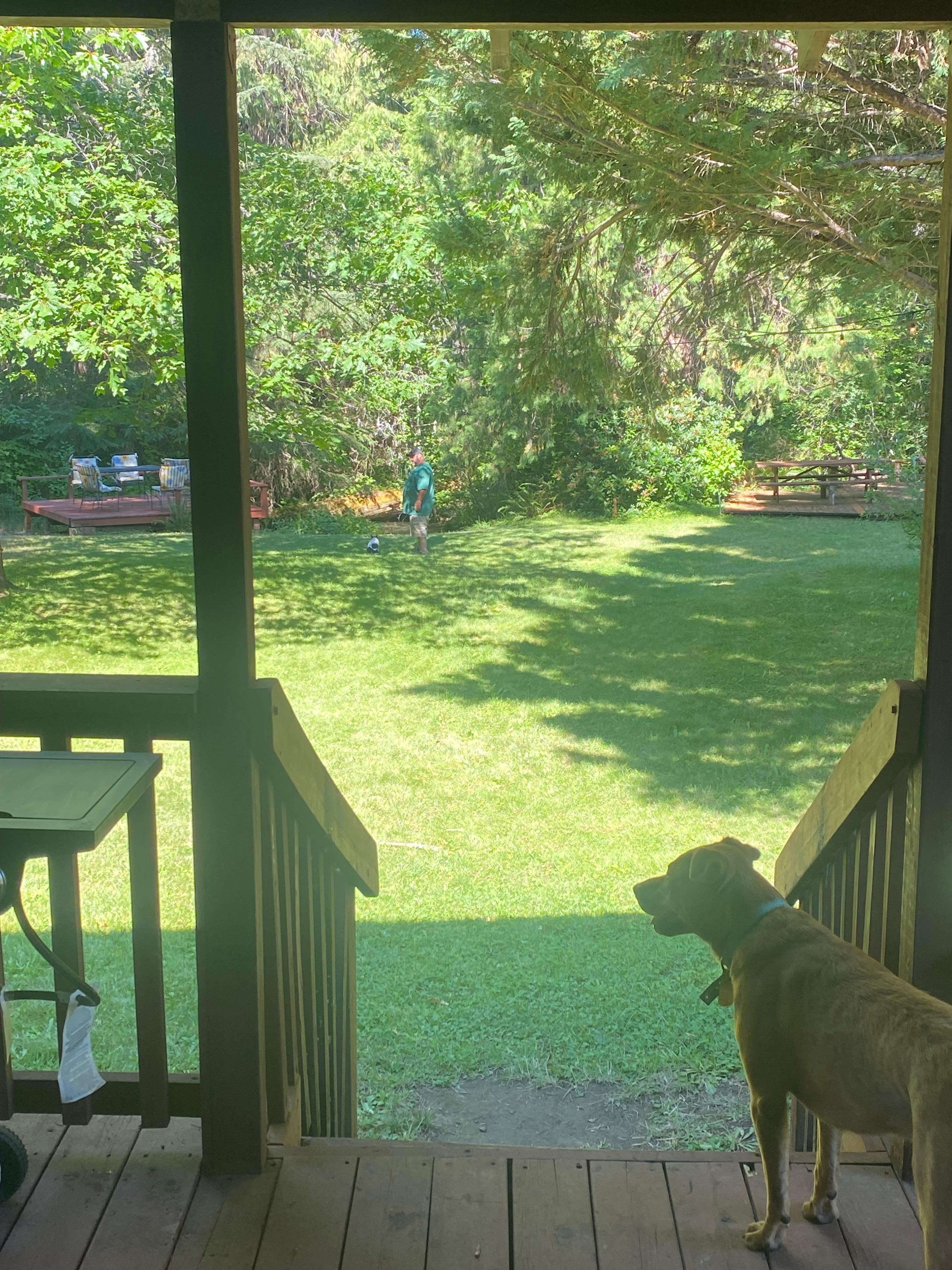 My view from the house