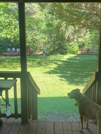 My view from the house