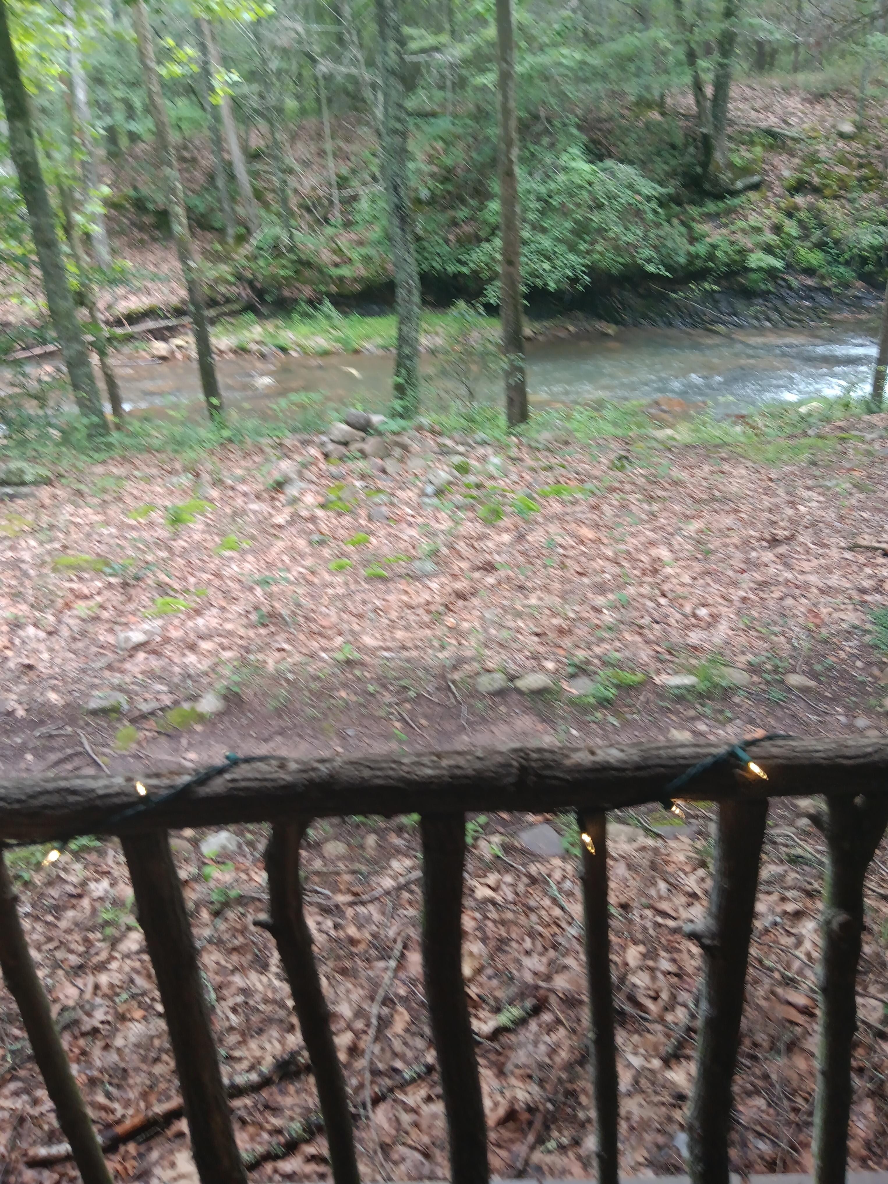 View from the porch. The river is that close. 