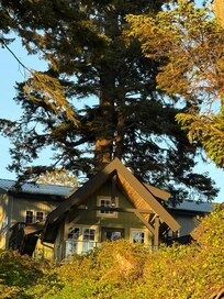 Sitka cabin