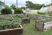 Herb Garden