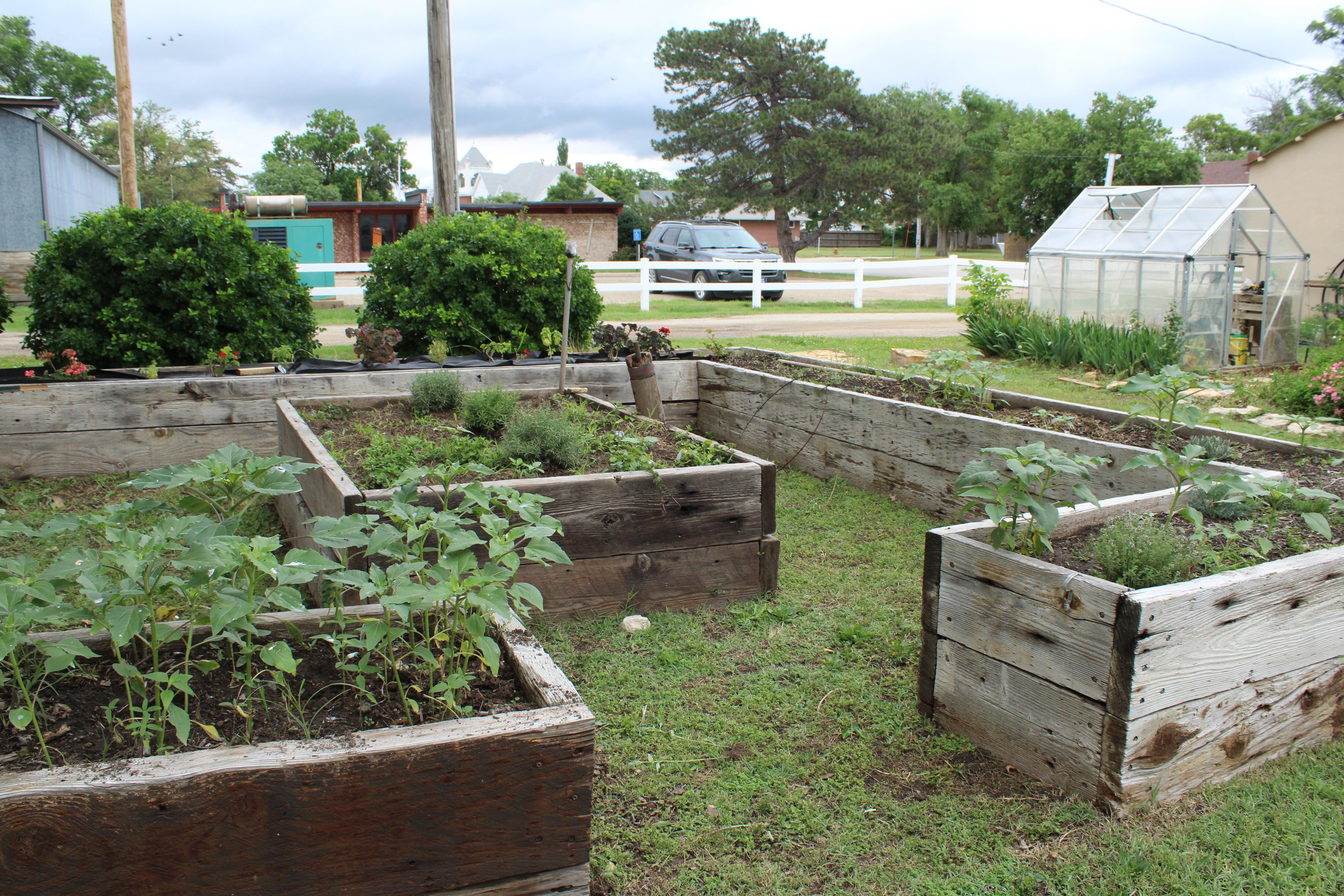 Herb Garden