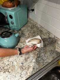 Just disgusting. Couldn’t even use kitchen till all counters and sink were cleaned. Didn’t trust any dishes put away. So had to wash all before using