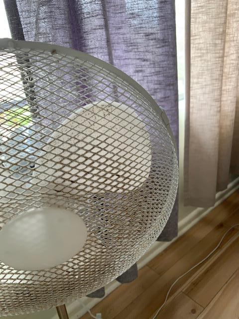 Rusty fans - no air conditioner for bedrooms