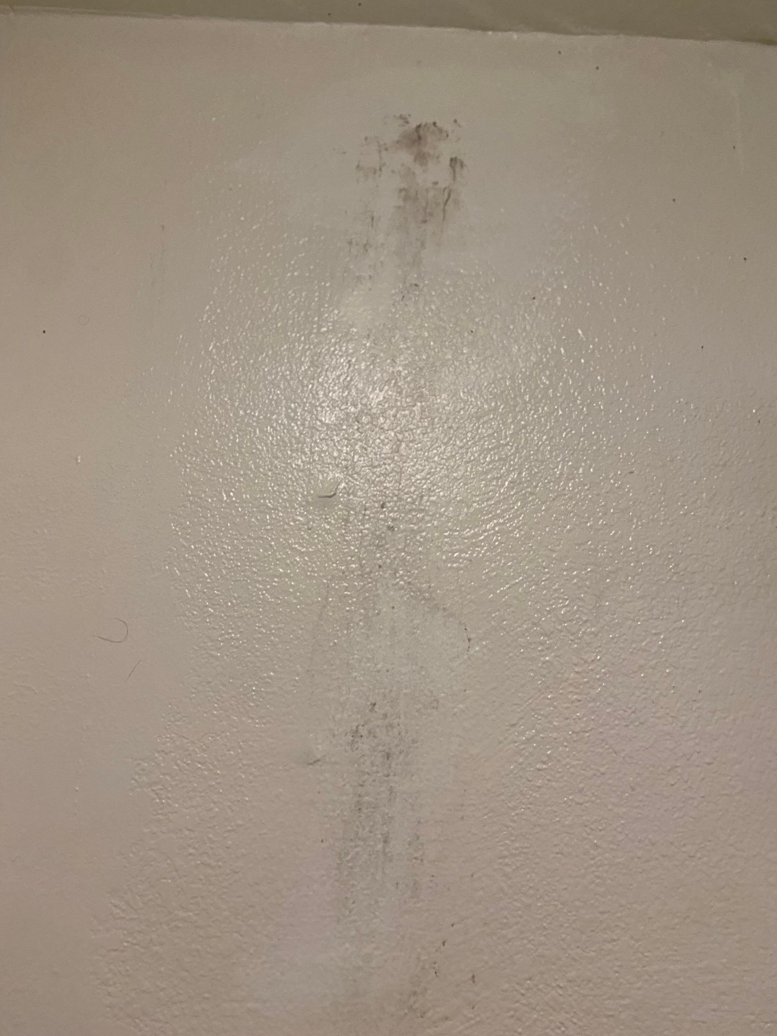 Mold
