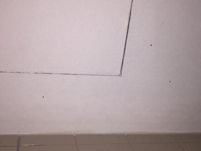 obvious stains/scuff marks at main door