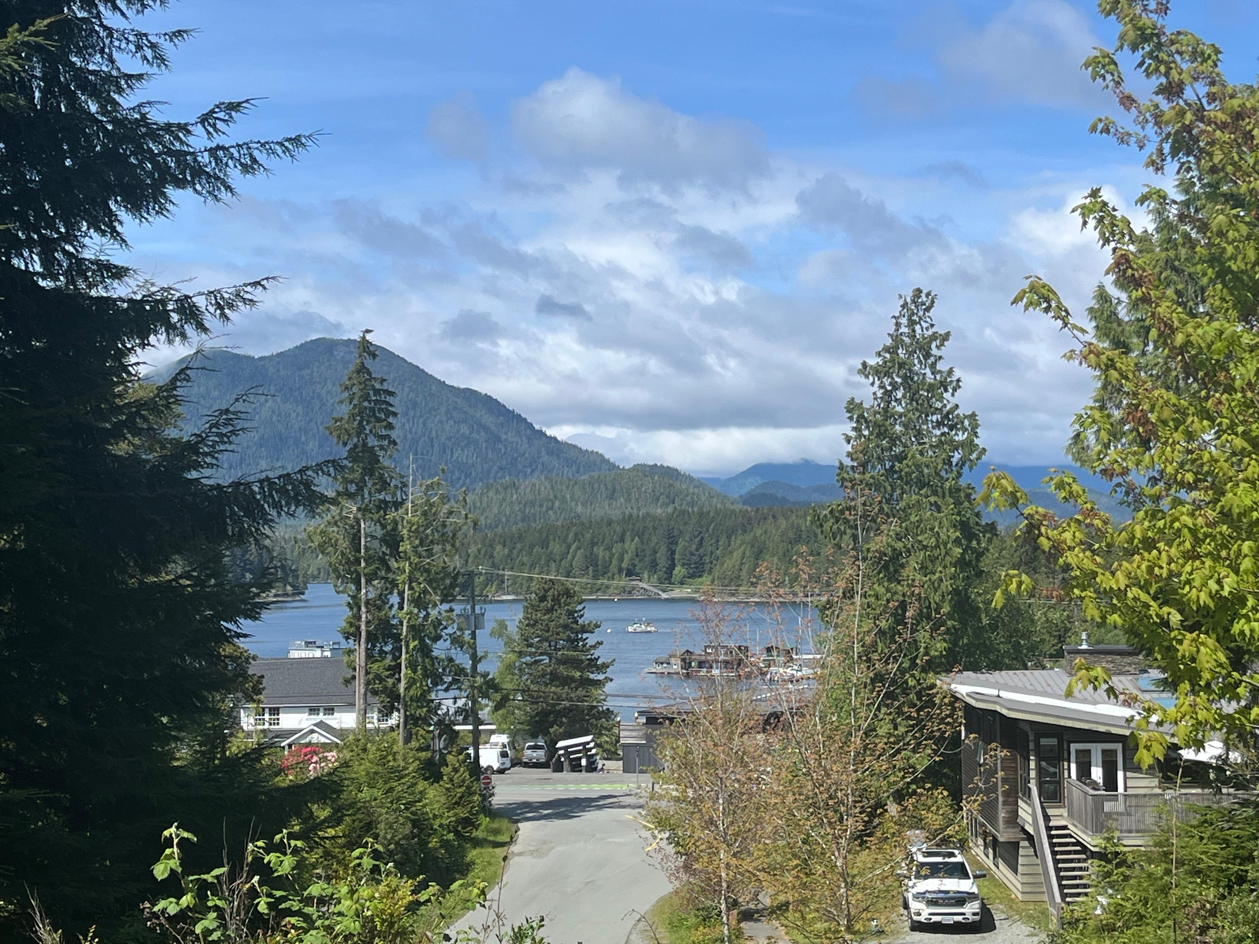 Kitchen view