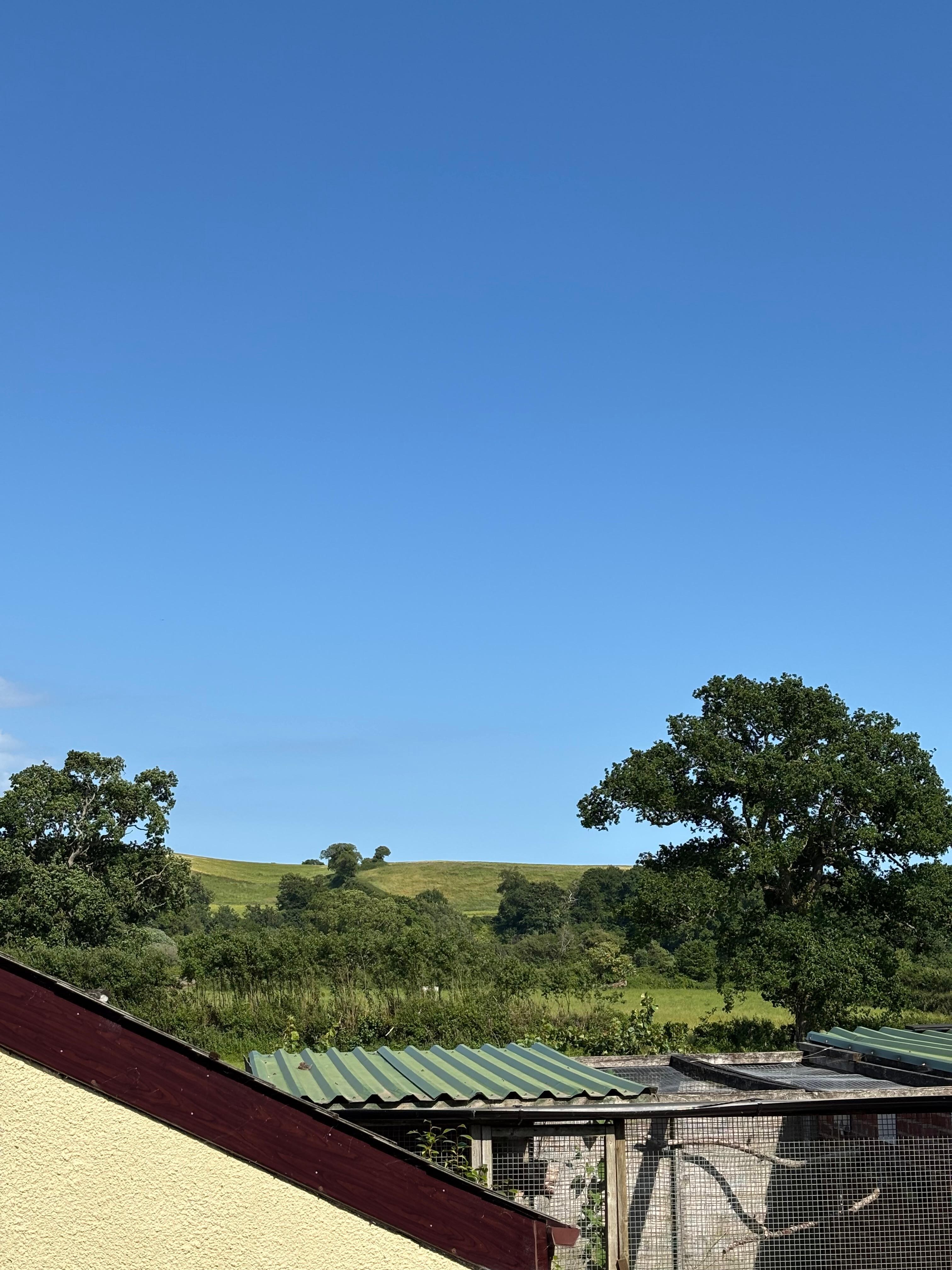 Views from the Airbnb 