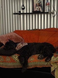 So comfy.