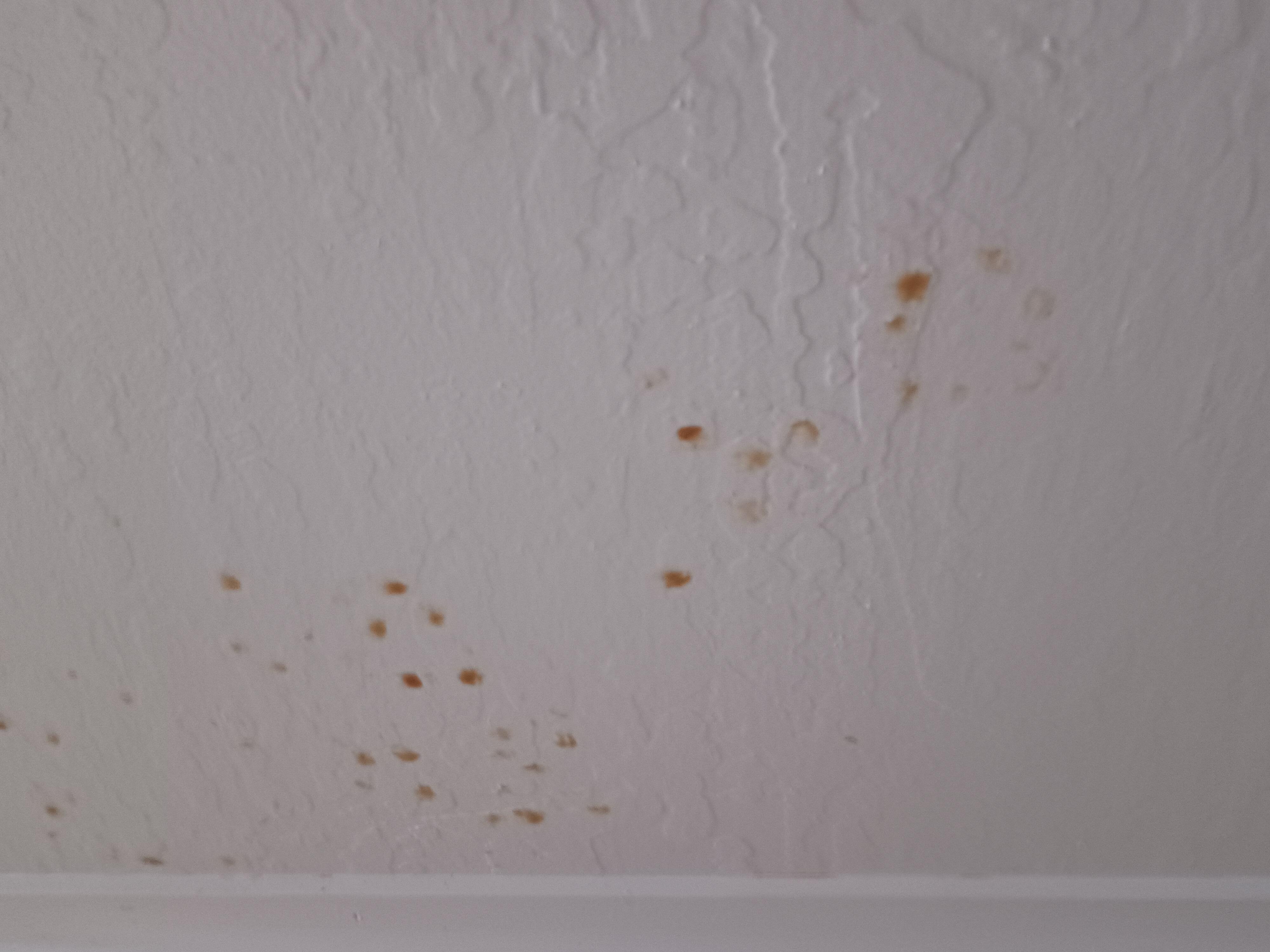 Ceiling