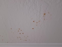 Ceiling