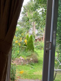 View from the bed out to the garden