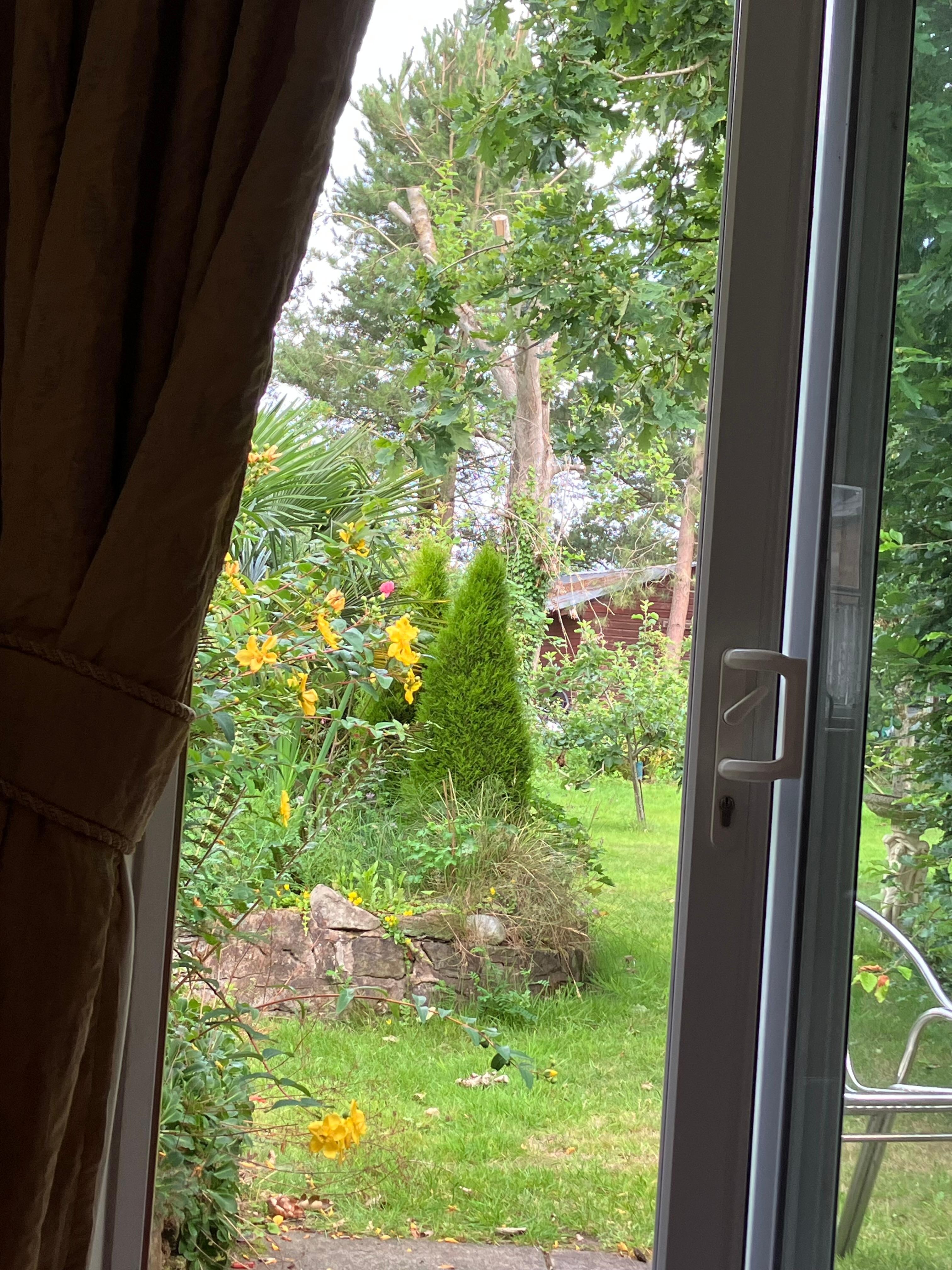View from the bed out to the garden