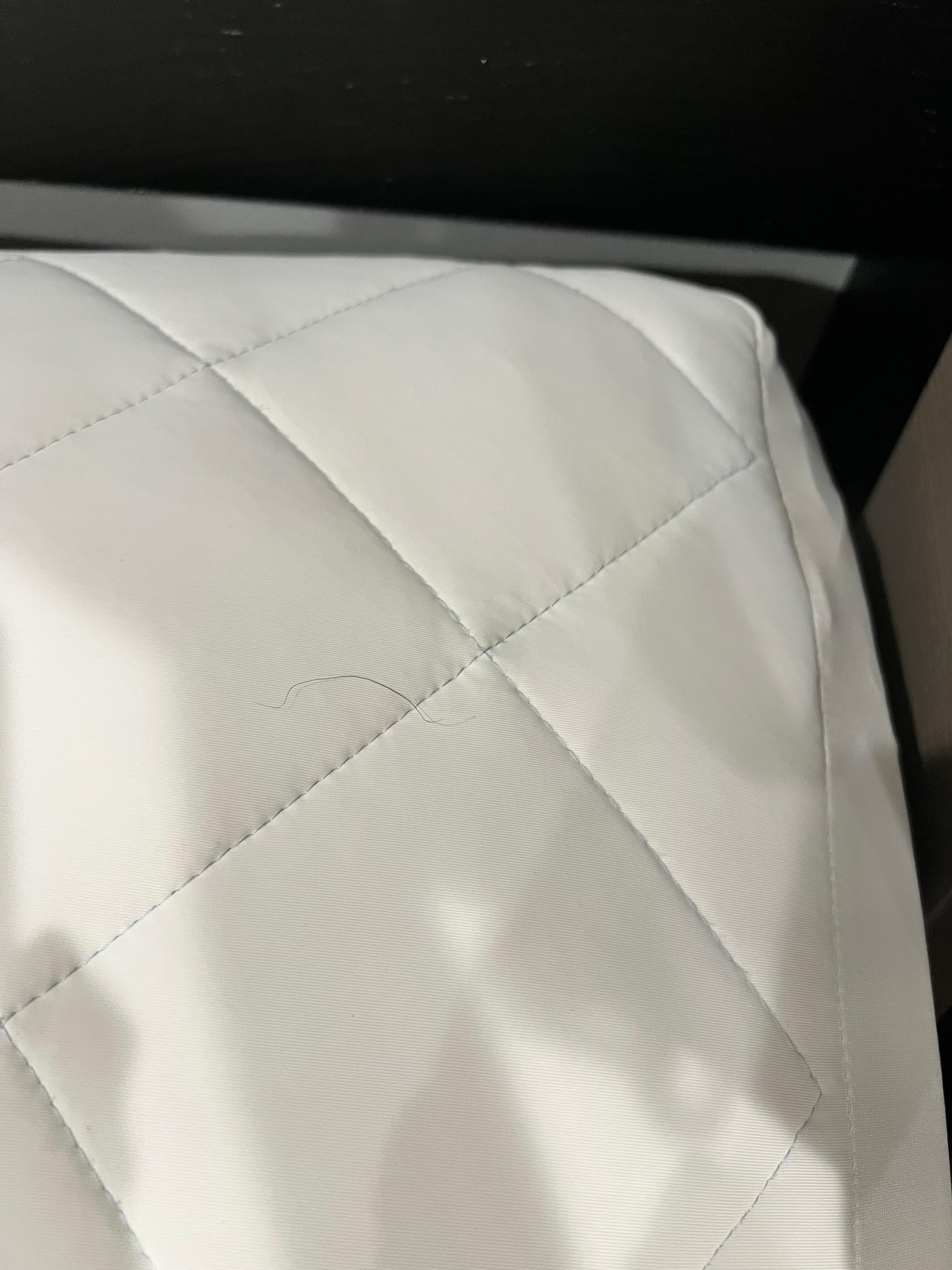 Mattress stains/hairs