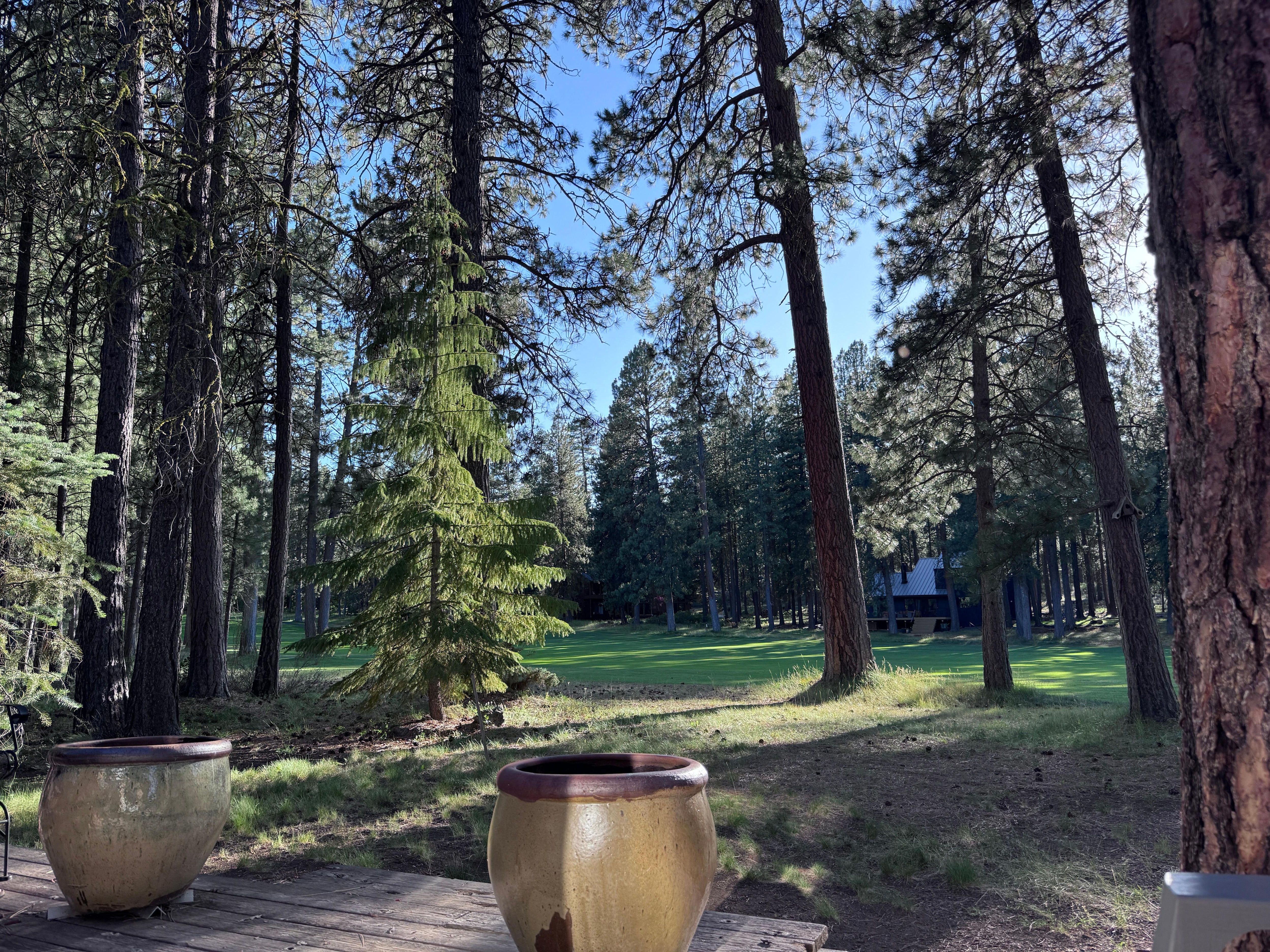 The view from the back porch