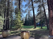 The view from the back porch