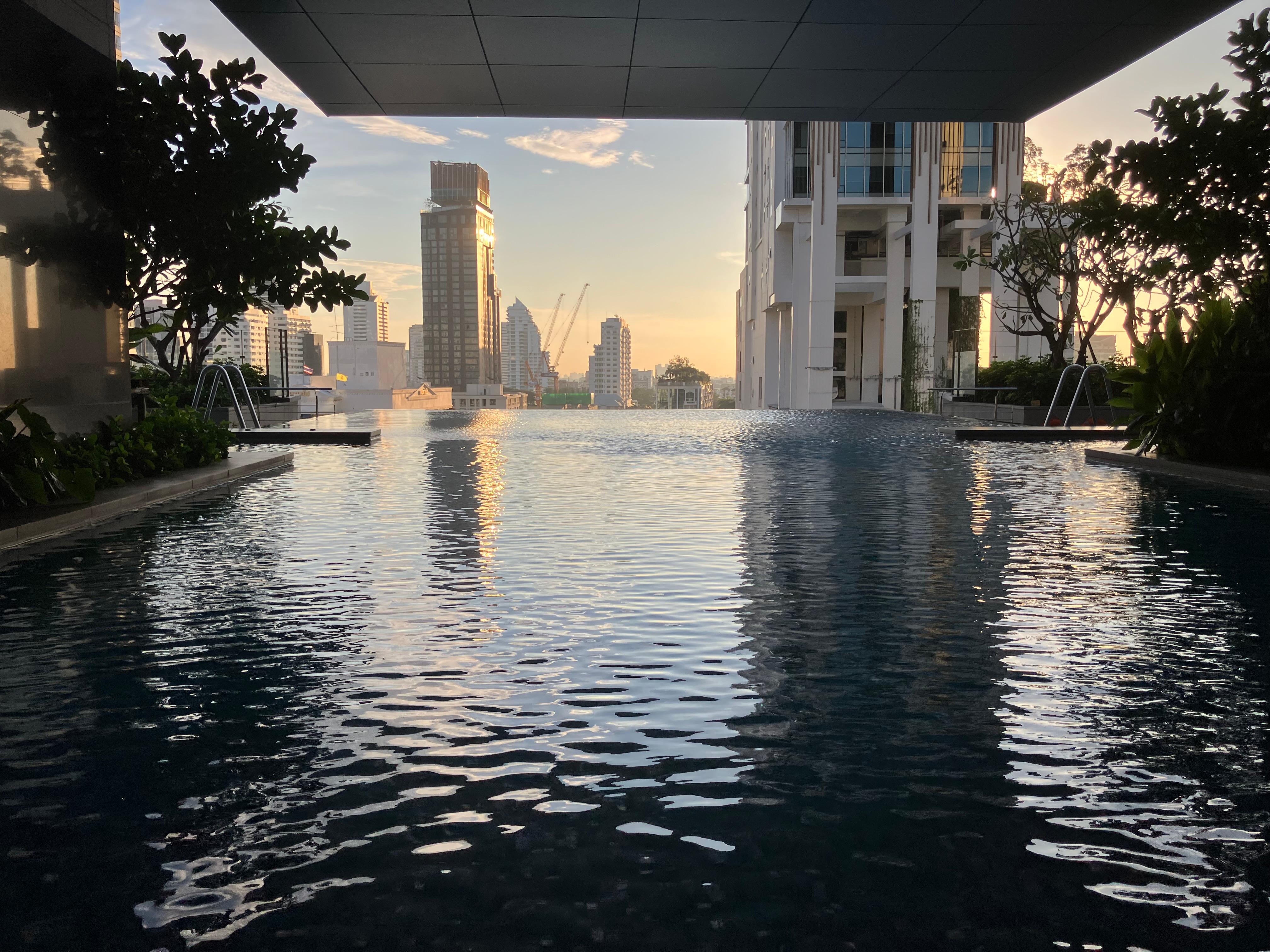 プールからの眺め