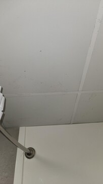 Mold in bathroom