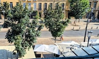 View from window