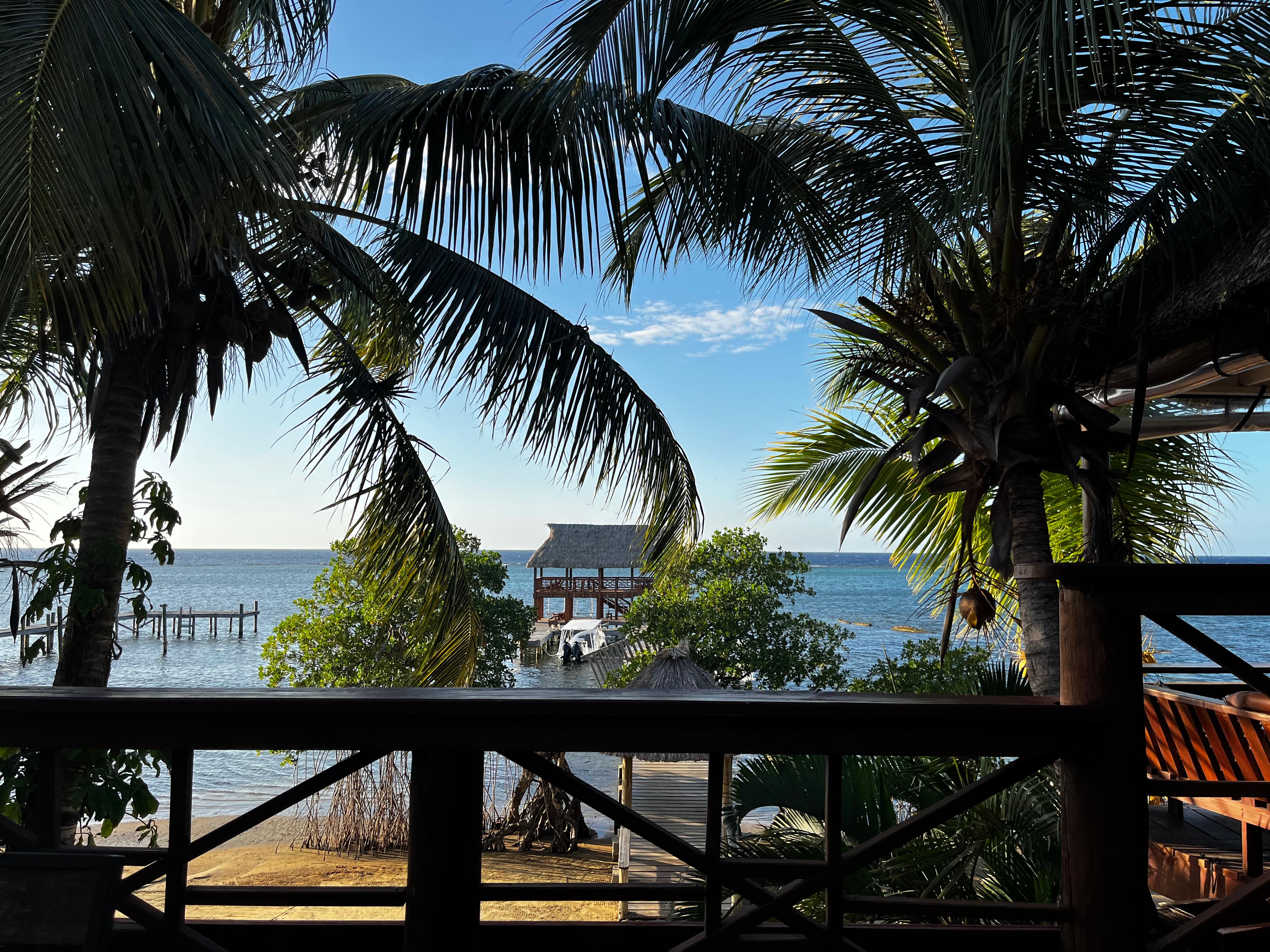 View onto their dock 