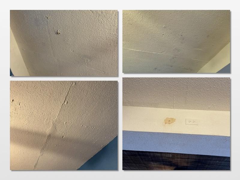 Damaged and Moldy Ceilings