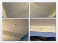 Damaged and Moldy Ceilings