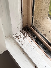 Window ledge