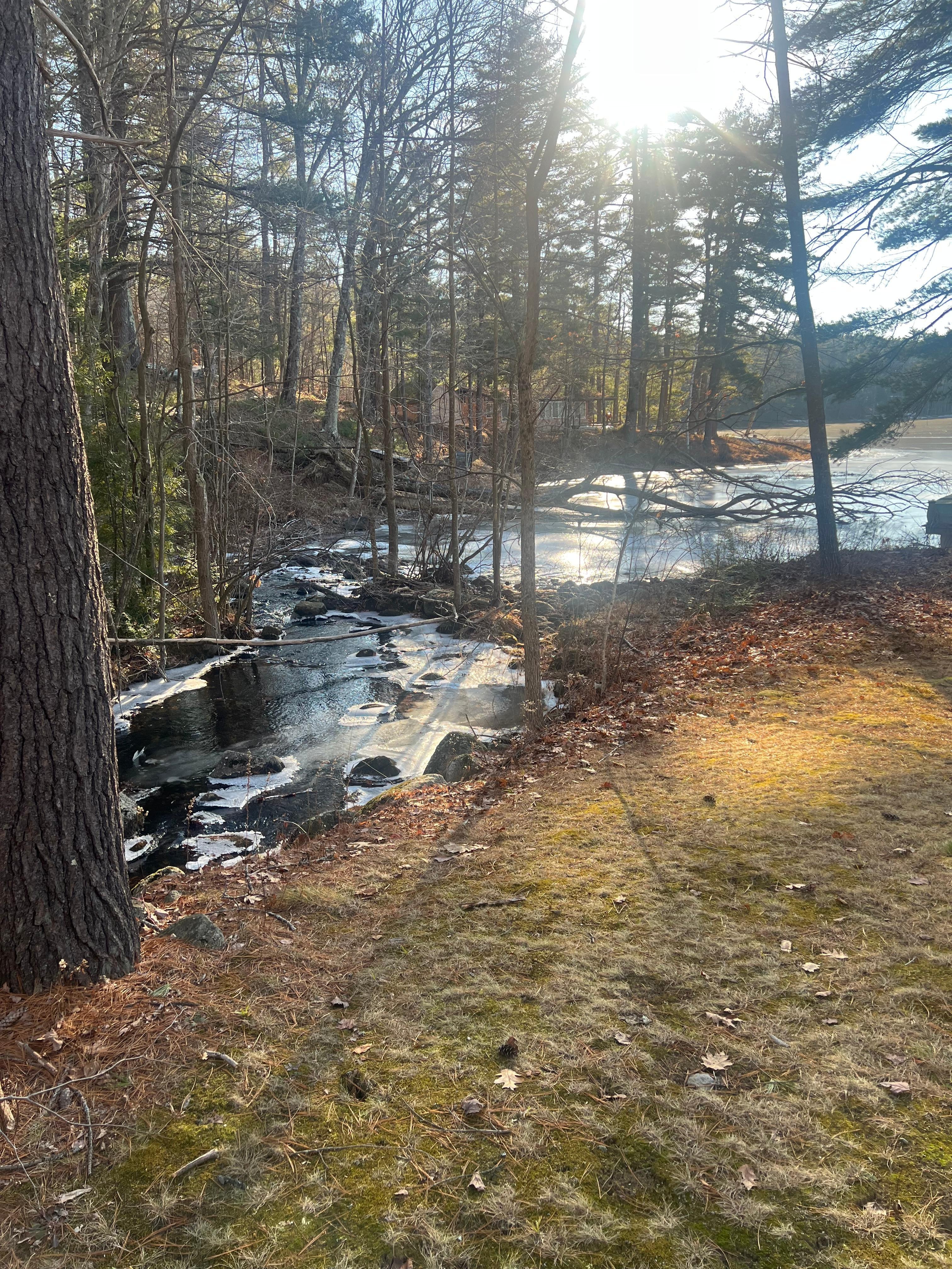 The babbling brook steps from the house. 