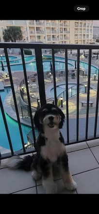 Our Sadie loved how clean it was outside, and how many places there were for dogs to go.