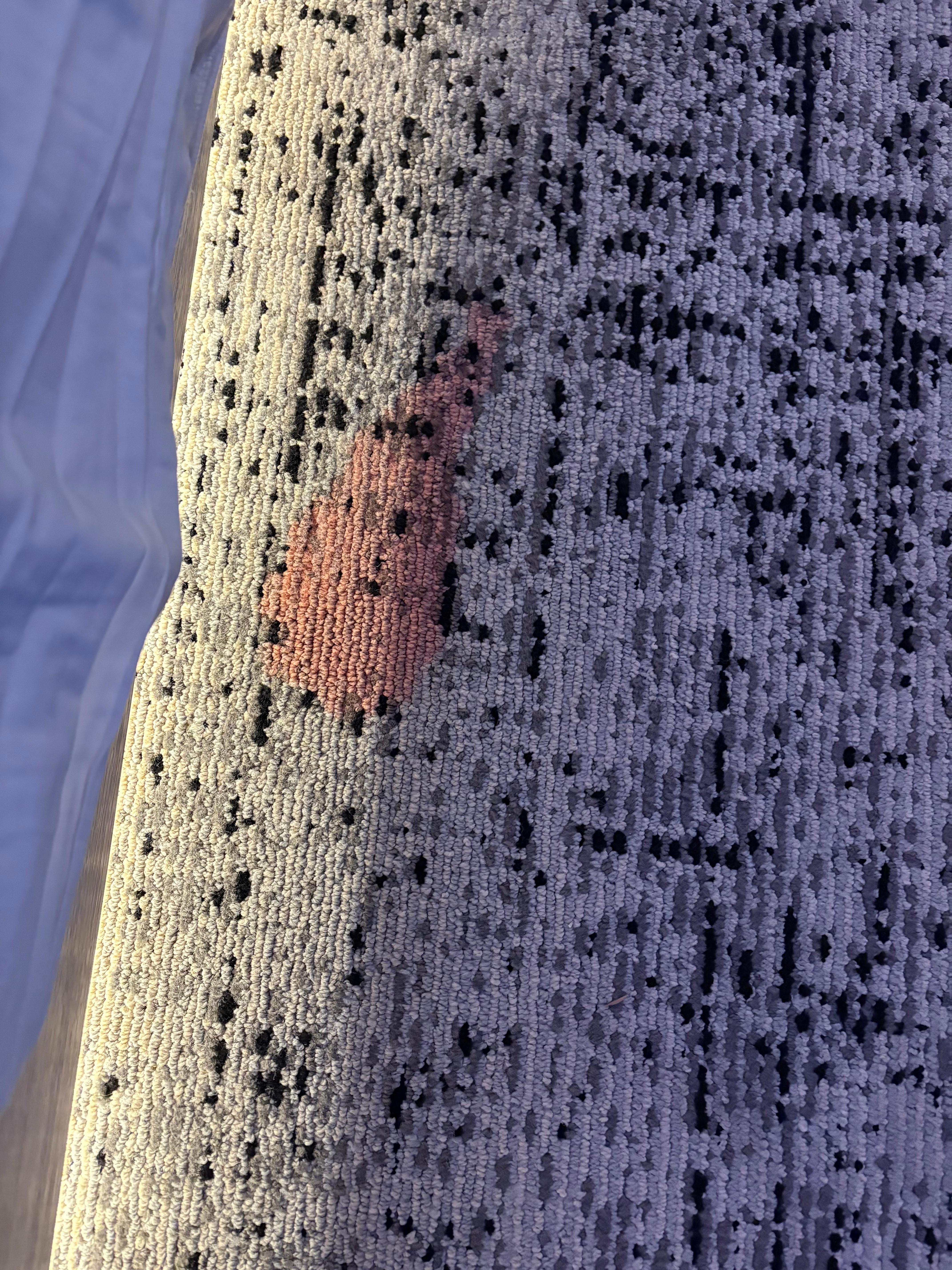 Few of these stains  on carpet